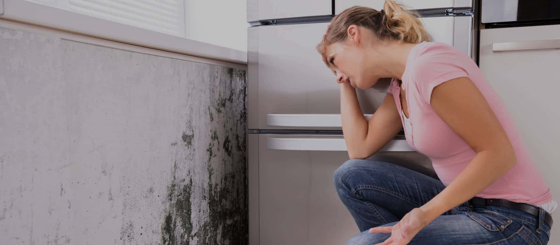 Public Adjuster, Mold Damage