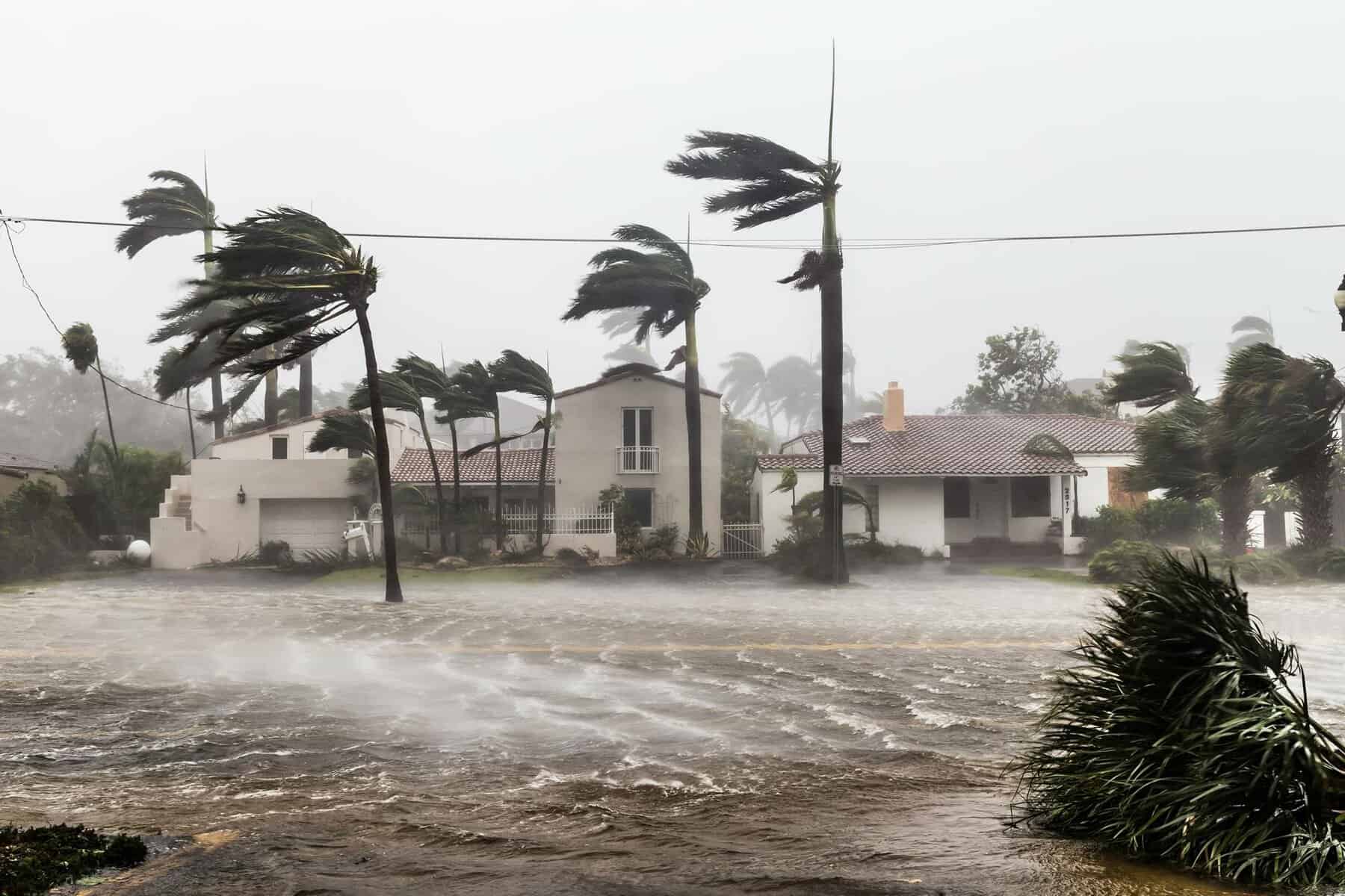 Public Adjusters in Florida
