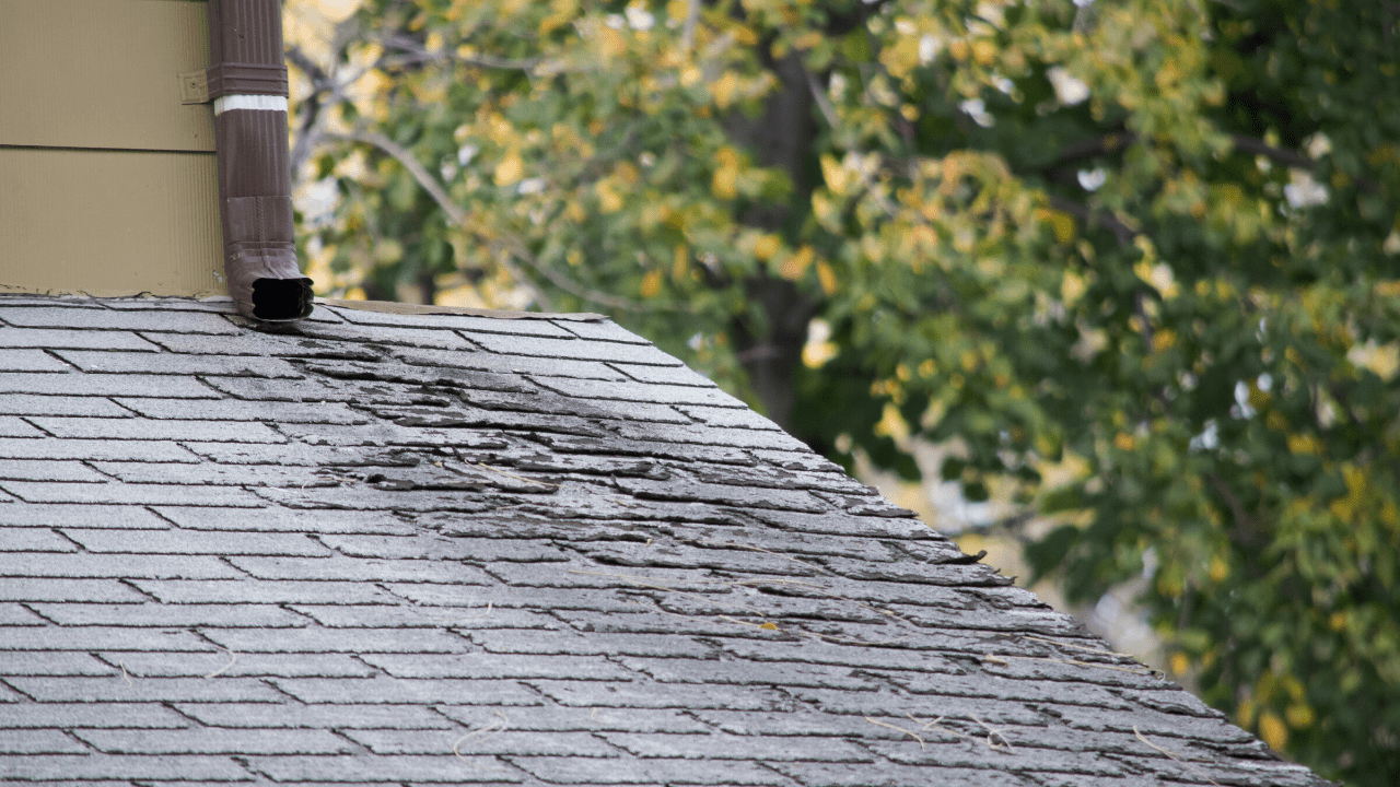 Roof damage in florida