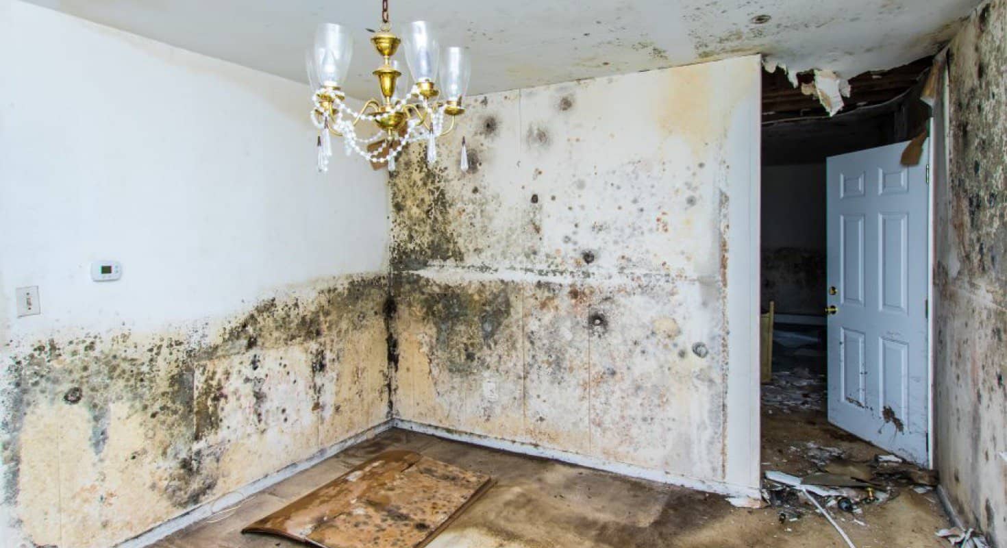 Water Damage in Florida
