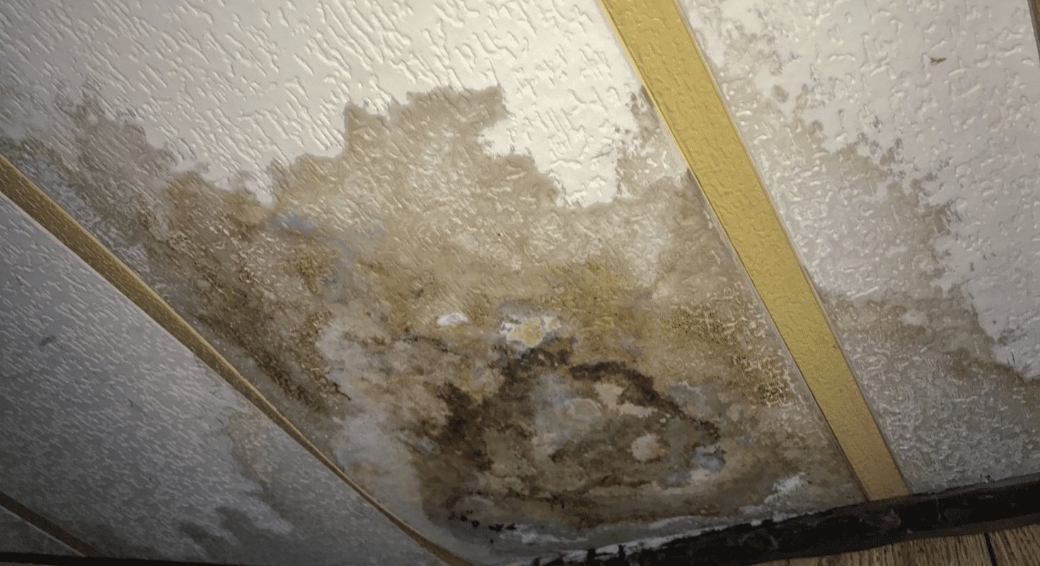 Water Damage in Florida