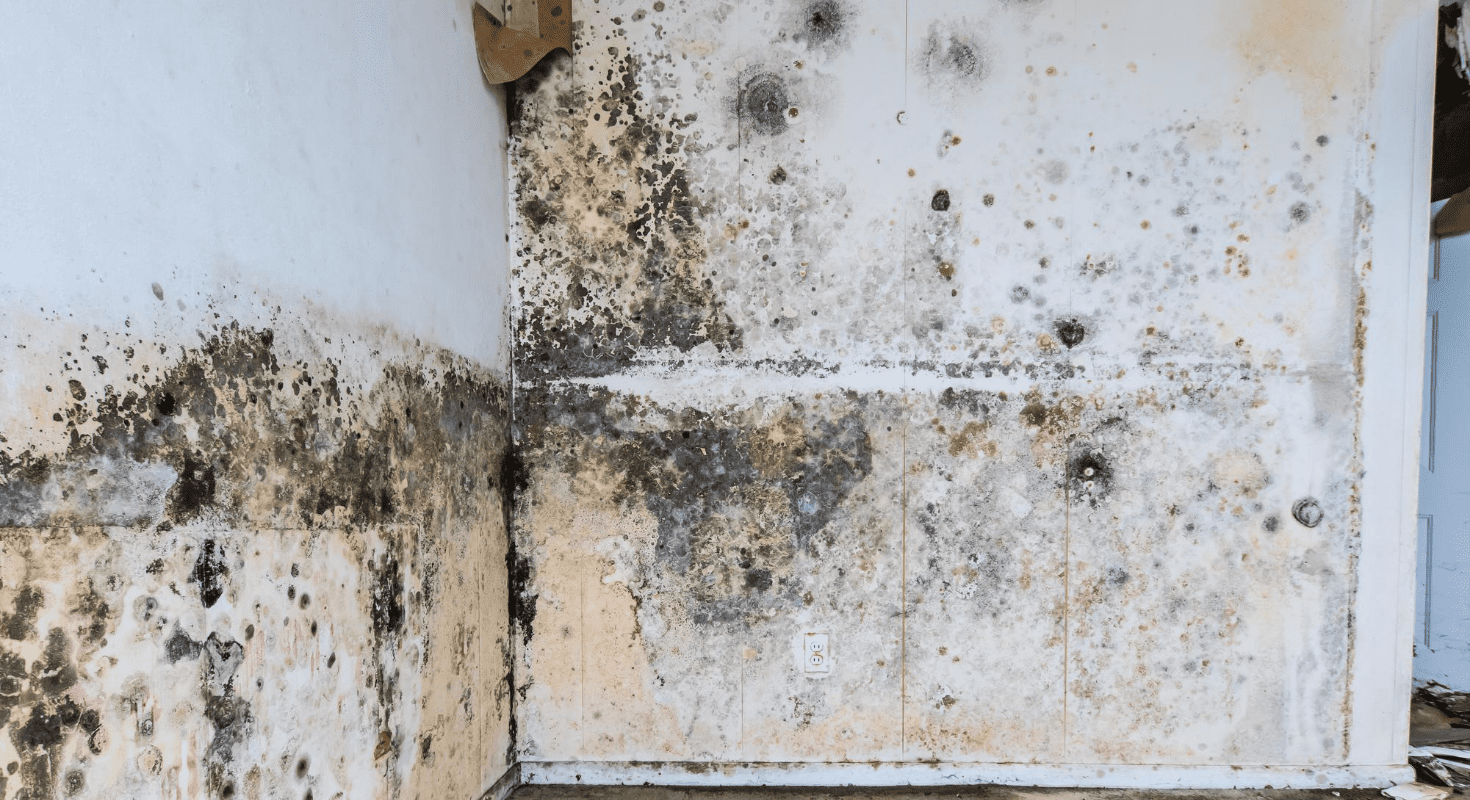 WATER DAMAGE IN FLORIDA