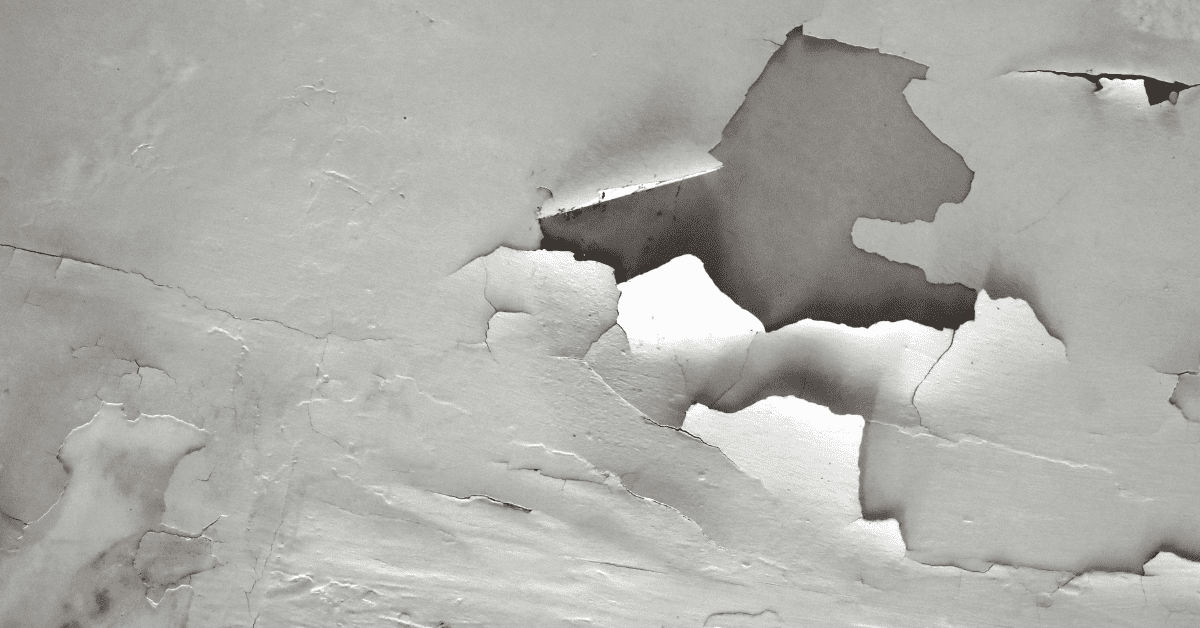 Water Damage Insurance Claim in Florida