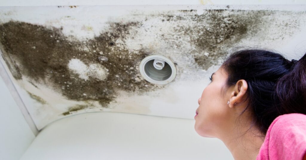 Mold Damage in Cape Coral 