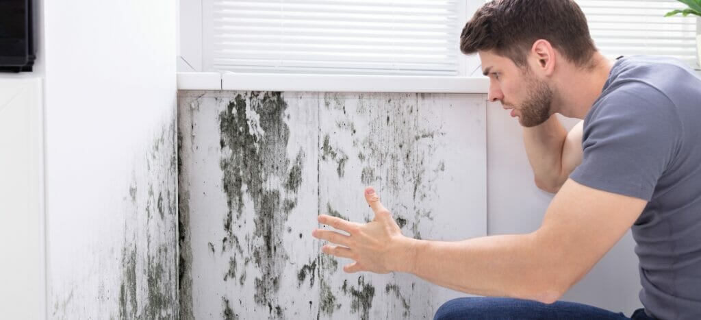 Mold Damage AC Leak in Florida