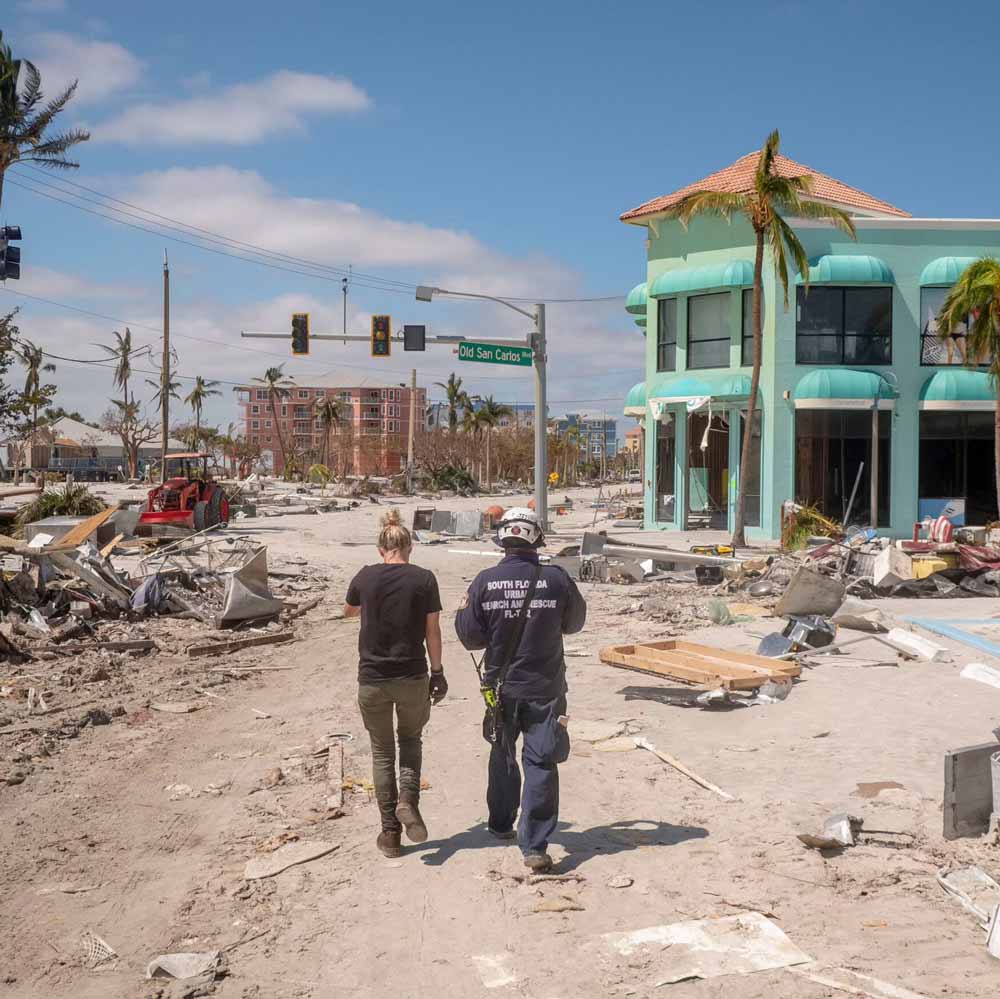 public adjuster in florida