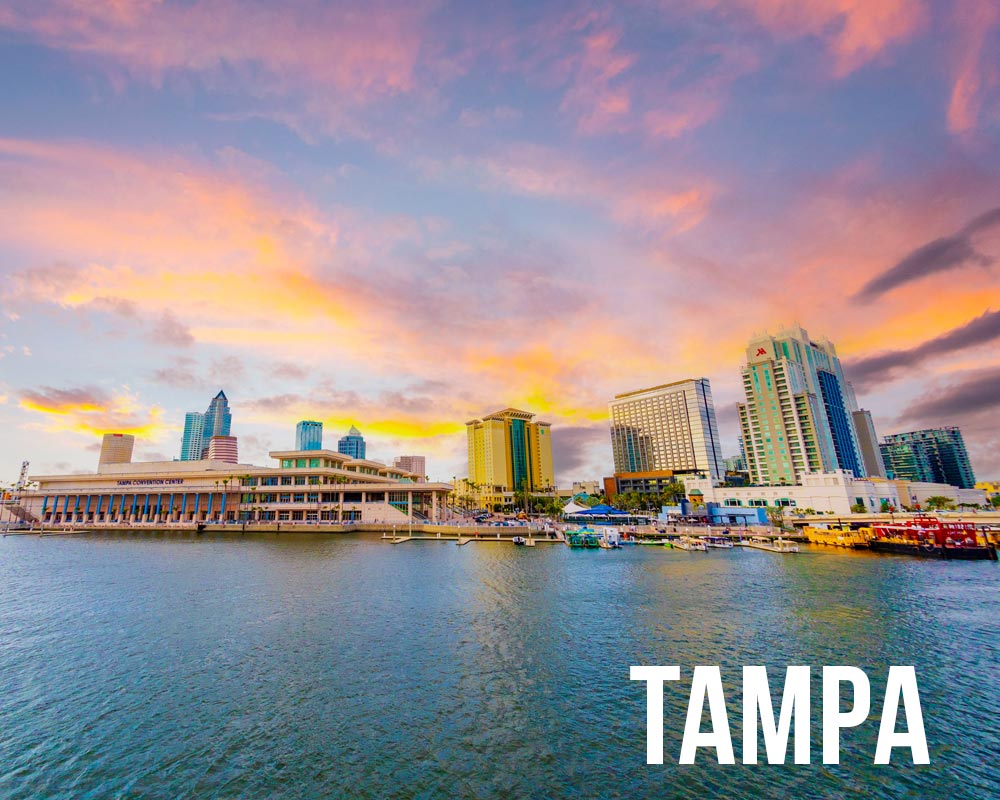 Tampa Public Adjuster