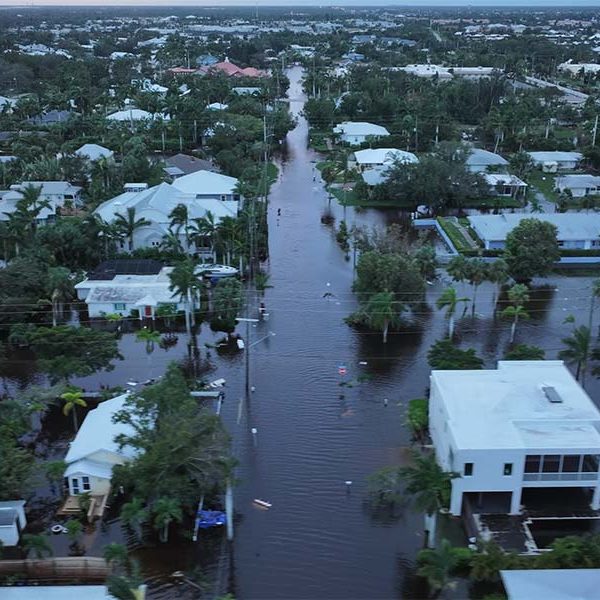 Have You Been Paid Less Than You Deserve on Your Hurricane Damage Claim. Don't Let Your Hurricane Claim Fall Short. If you have filed a hurricane damage claim and feel that you are being paid insufficiently, whether it was for Hurricane Milton, Hurricane Helene, or another event of this magnitude, Alconer and Associates Public Adjusters is here to help you get the right amount.